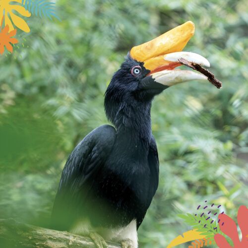 Prix Beauval Nature 2025